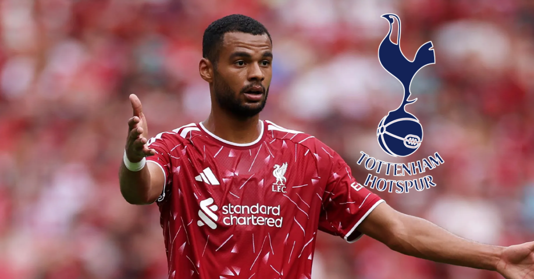 Cody Gakpo agrees Tottenham terms as Spurs push for £70m Liverpool deal